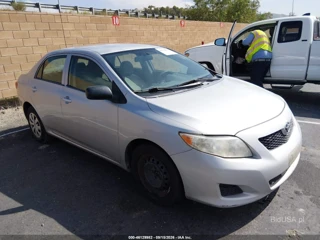 TOYOTA TOYOTA COROLLA