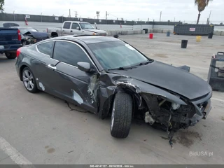 HONDA HONDA ACCORD 3.5 EX-L