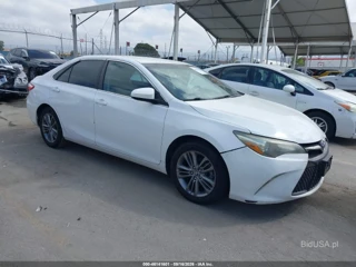 TOYOTA TOYOTA CAMRY SE