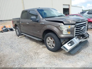 FORD FORD F-150 XLT