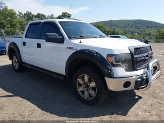 FORD FORD F-150 XLT