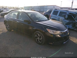 HONDA HONDA ACCORD LX
