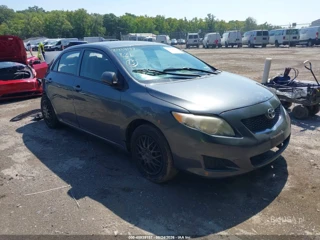 TOYOTA TOYOTA COROLLA LE