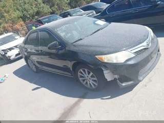 TOYOTA TOYOTA CAMRY XLE