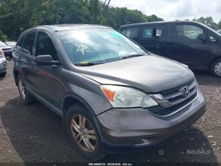HONDA HONDA CR-V EX
