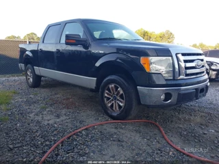 FORD FORD F-150 FX2 SPORT/HARLEY-DAVIDSON/KING RANCH/LARIAT/PLATINUM/XL/XLT