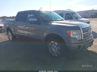 FORD FORD F-150 FX4/HARLEY-DAVIDSON/KING RANCH/LARIAT/PLATINUM/XL/XLT