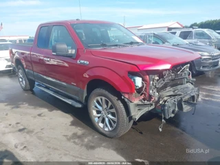 FORD FORD F-150 XLT