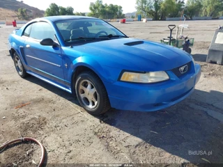 FORD FORD MUSTANG
