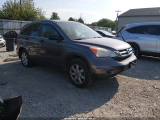 HONDA HONDA CR-V SE