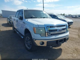 FORD FORD F-150 XLT