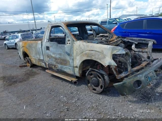 FORD FORD F-150 XL/XLT