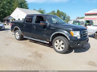 FORD FORD F-150 FX4/HARLEY-DAVIDSON/KING RANCH/LARIAT/PLATINUM/XL/XLT