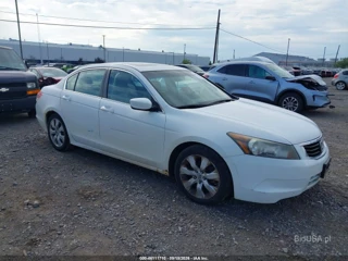 HONDA HONDA ACCORD 2.4 EX-L