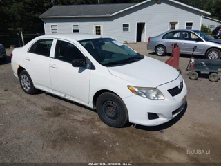 TOYOTA TOYOTA COROLLA LE