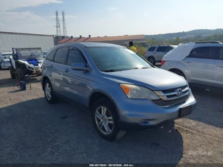HONDA HONDA CR-V EX-L