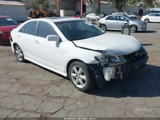 TOYOTA TOYOTA CAMRY SE