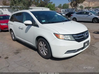 HONDA HONDA ODYSSEY SE