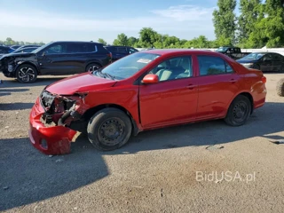 TOYOTA COROLLA L