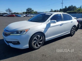 HONDA ACCORD EXL