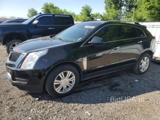 CADILLAC SRX LUXURY COLLECTION