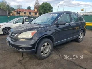 HONDA CR-V LX