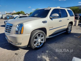 CADILLAC ESCALADE LUXURY