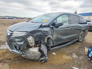 HONDA ODYSSEY ELITE