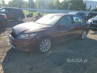 HONDA ACCORD EXL