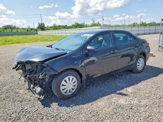 TOYOTA COROLLA L