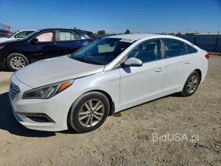 HYUNDAI SONATA ECO