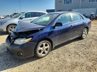 TOYOTA COROLLA BASE