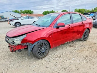 FORD FOCUS SES