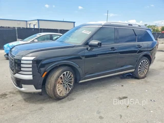 HYUNDAI PALISADE CALLIGRAPHY