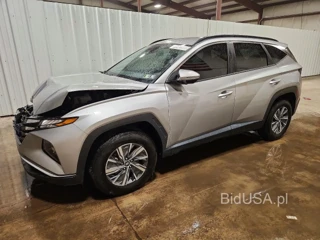HYUNDAI TUCSON BLUE