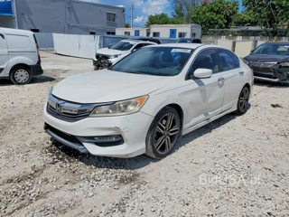 HONDA ACCORD SPORT SPECIAL EDITION