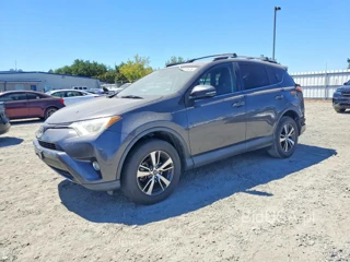 TOYOTA RAV4 XLE