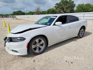DODGE CHARGER SE