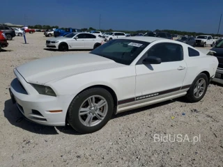 FORD MUSTANG V6 COUPE