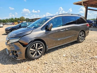 HONDA ODYSSEY ELITE