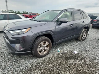 TOYOTA RAV4 HYBRID XLE