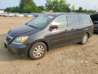 HONDA ODYSSEY EXL