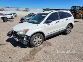 HONDA CR-V SE