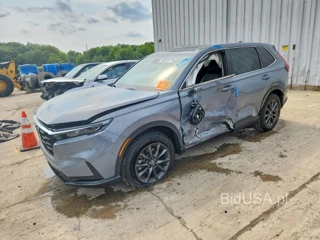 HONDA CR-V EXL