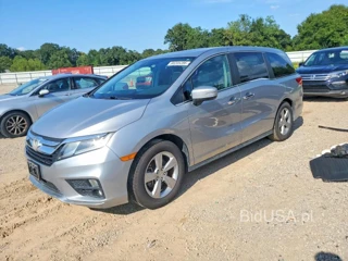 HONDA ODYSSEY EXL