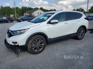 HONDA CR-V EX