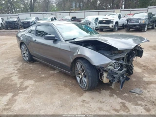 FORD FORD MUSTANG V6