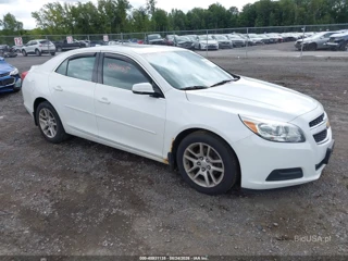 CHEVROLET CHEVROLET MALIBU 1LT