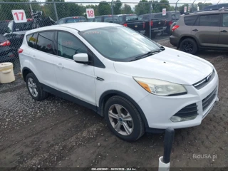 FORD FORD ESCAPE SE