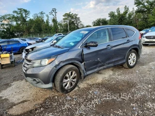 HONDA CR-V EX